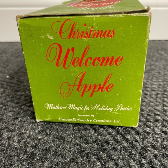 Vintage MCM Plastic Apple Bird Christmas Welcome Ornament with Box 1960s 1970s - Picture 5 of 7